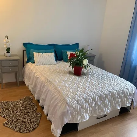 Belle Maison Avec Jardin Rdc T3 De 70m2 Ou Cure Thermale Apartment *